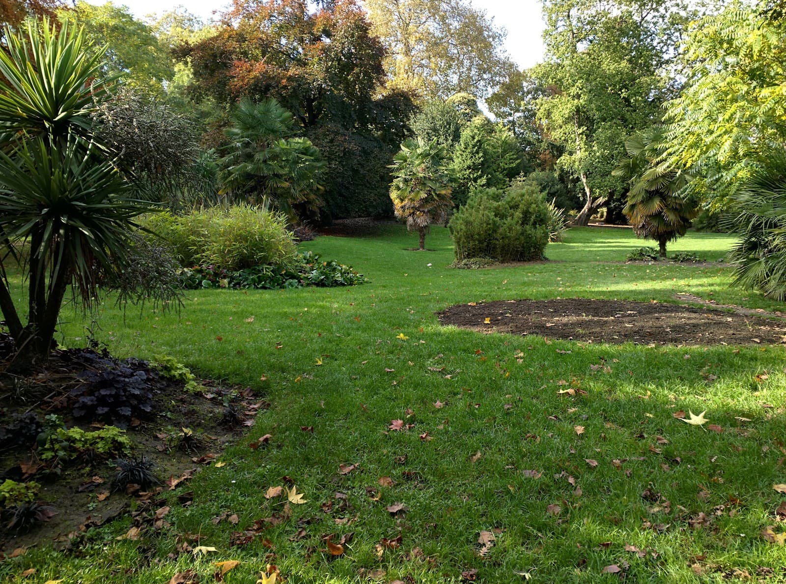 Sub-tropical Garden, Battersea Park - Image 1