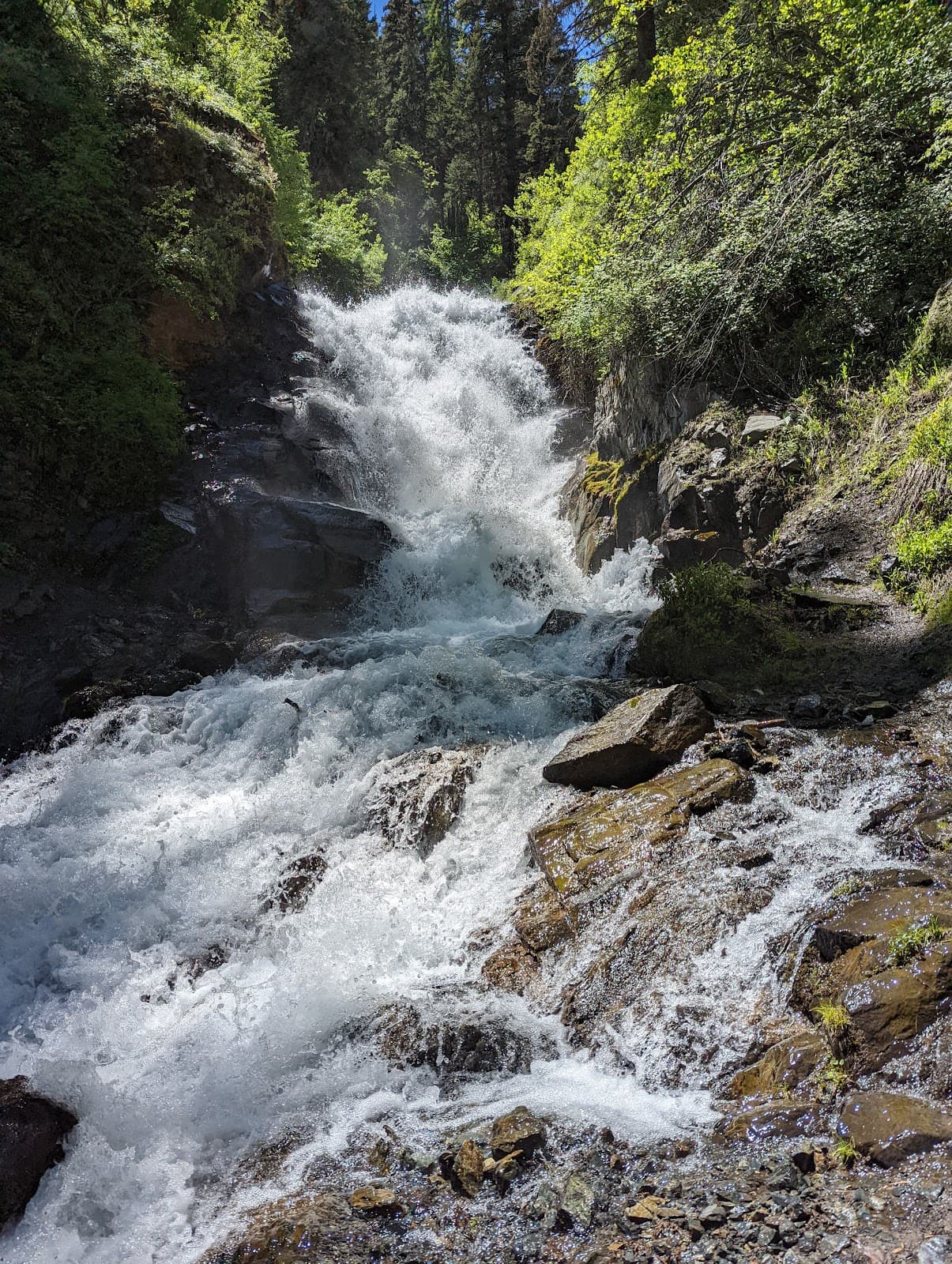 BC Creek Falls Trail - Image 1
