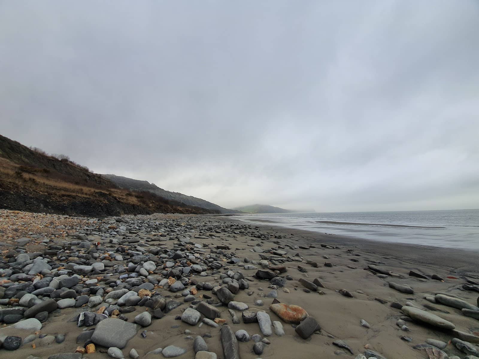 Fossil Hunting Adventure