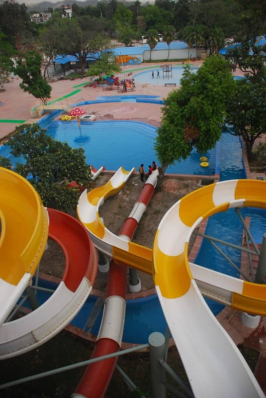Variety of Water Slides