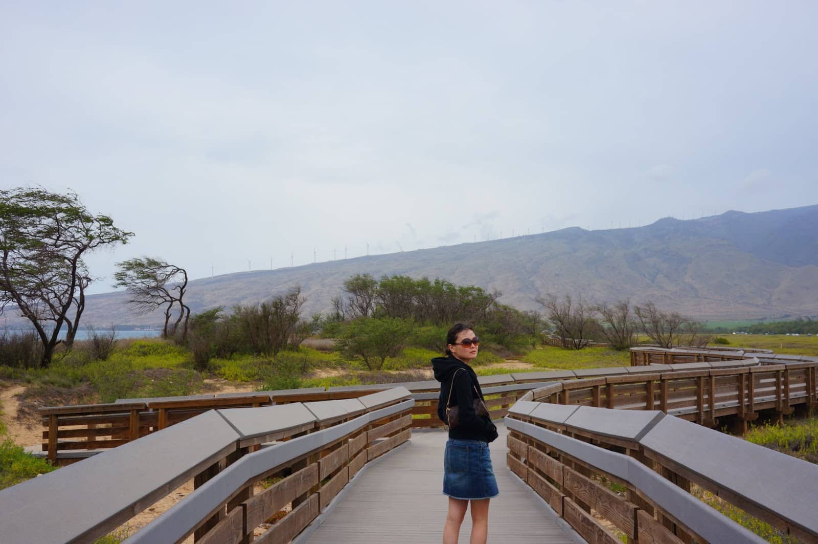 Scenic Boardwalk Stroll