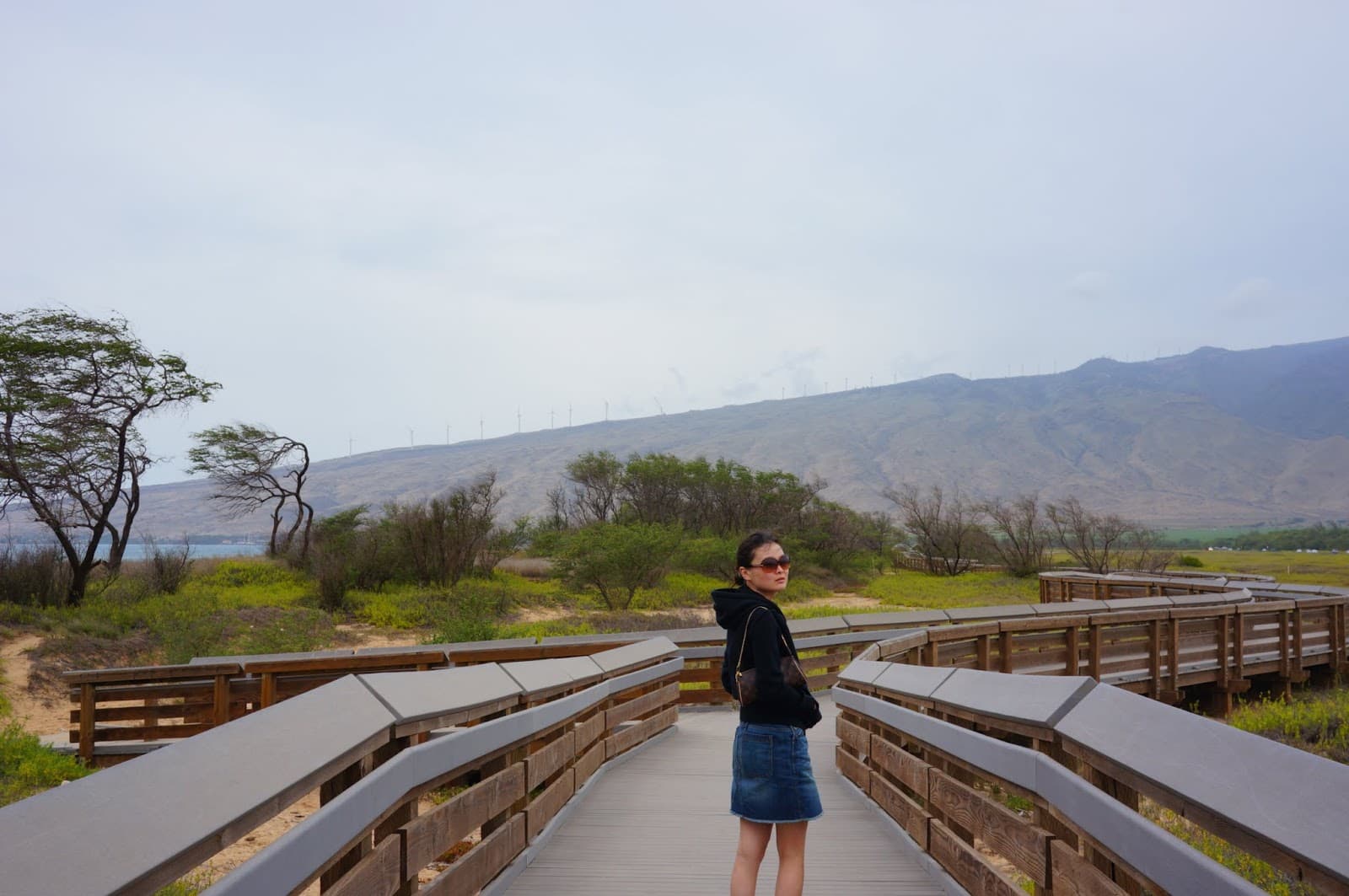 Kealia Coastal Boardwalk - Image 1