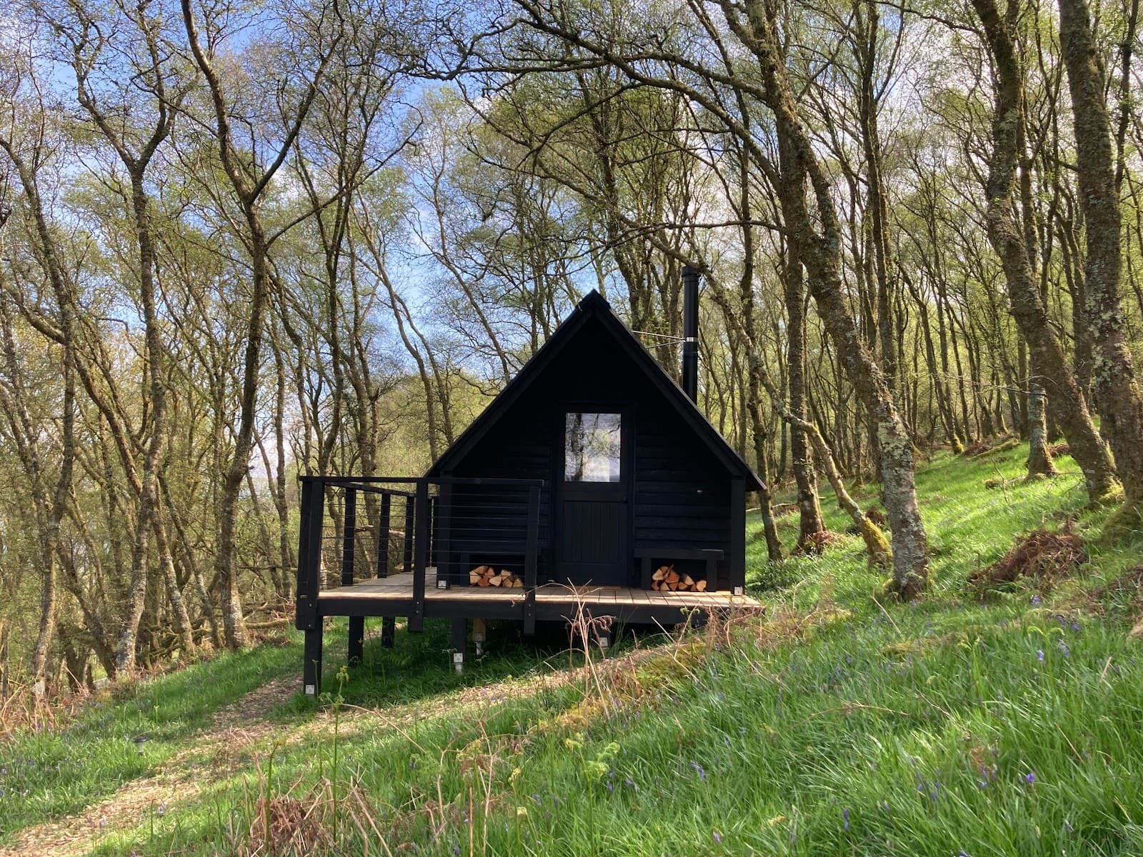 Bute Community Forest Scotland - Image 1