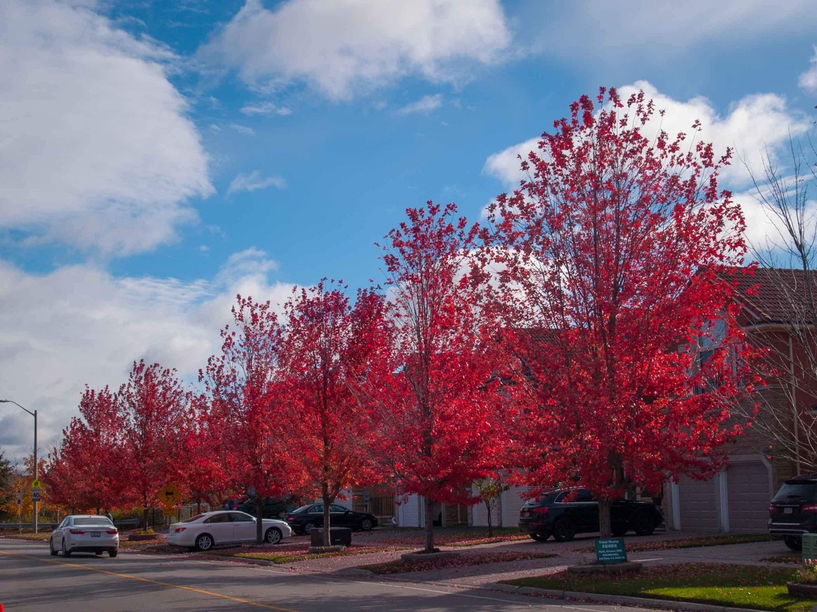 Redstone Road, Richmond Hill - Image 1