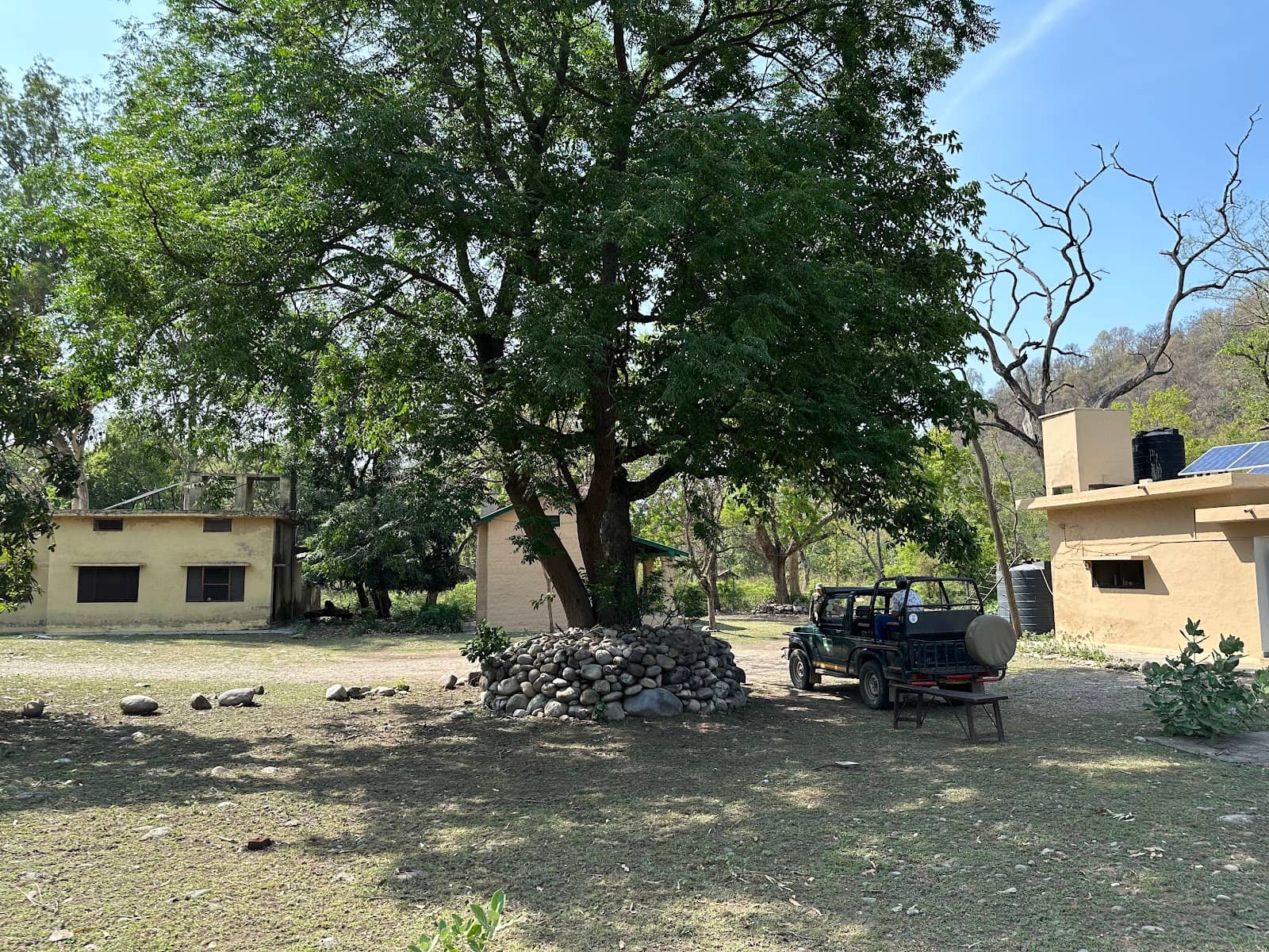 Abundant Wildlife Encounters