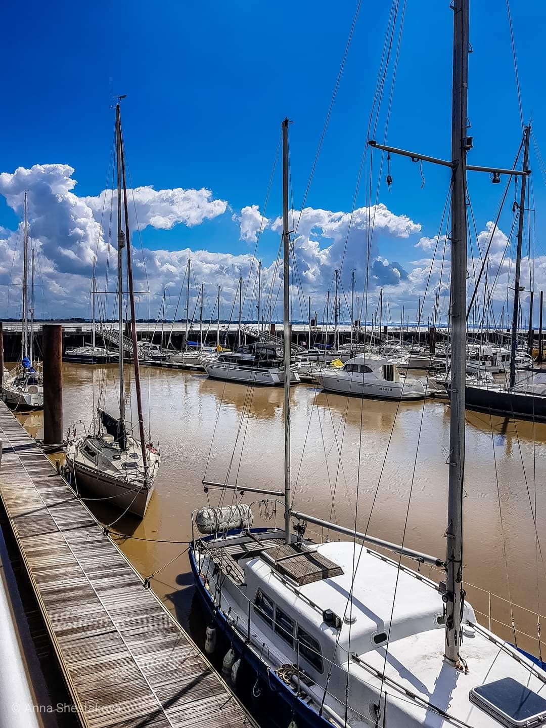 Port de Pauillac (Marina) - Image 1