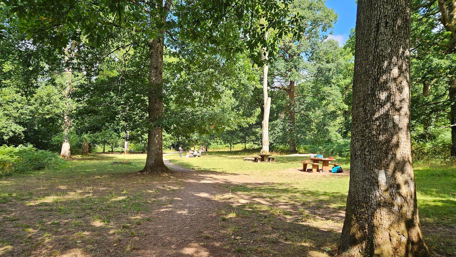 Family Picnic Spots