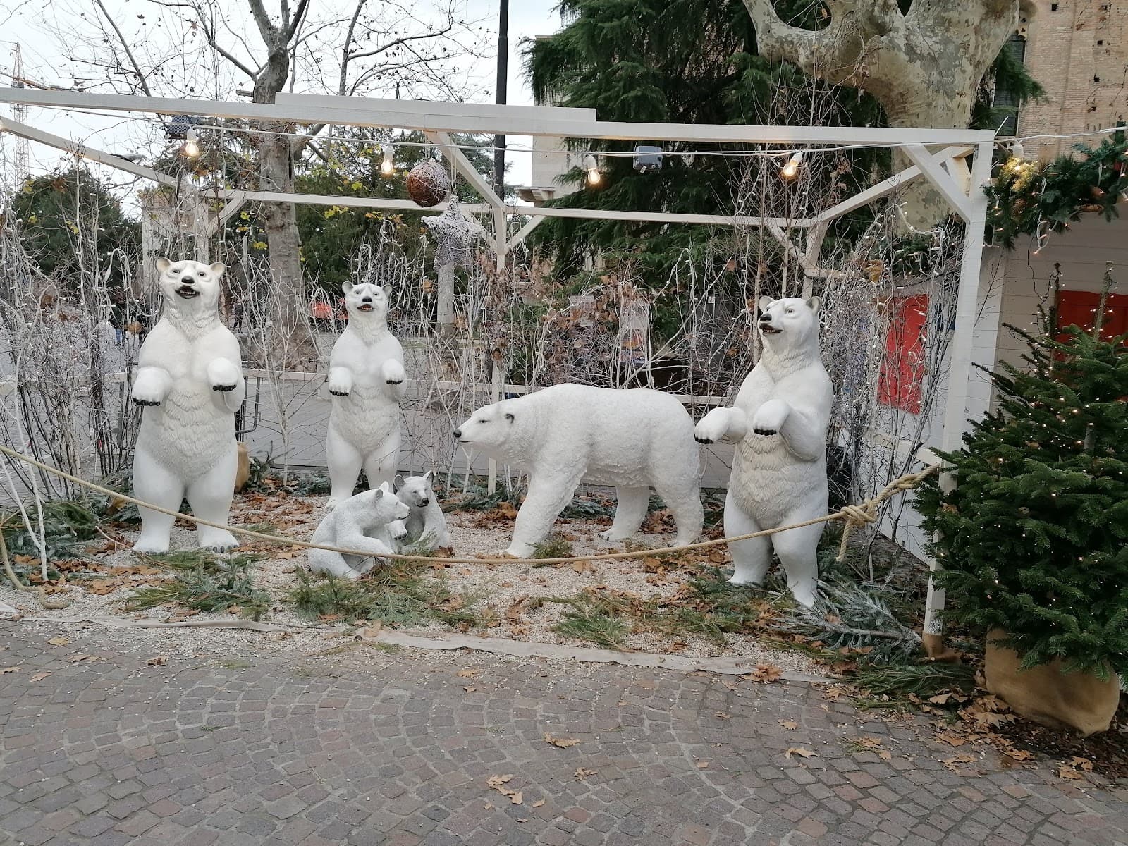 Piazza Eremitani Padua - Image 1