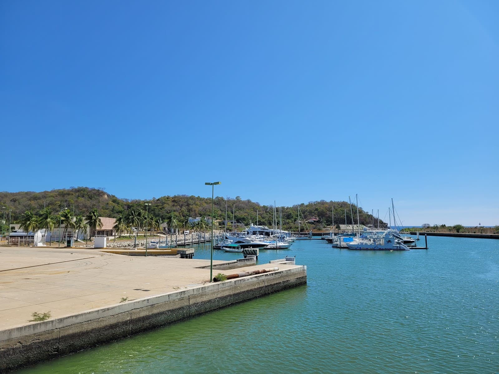 Marina Chahué - Image 1