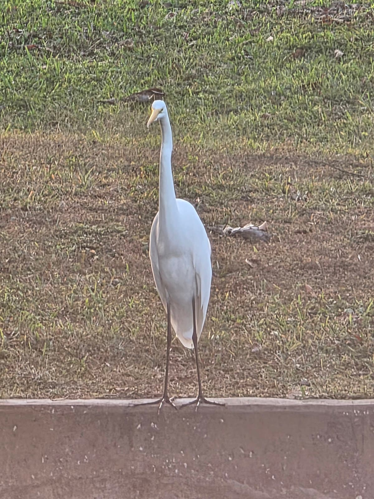 Walden Lake Park - Image 1