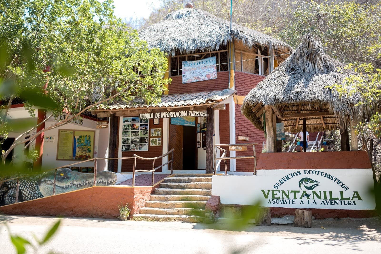 La Ventanilla Mangroves Oaxaca - Image 1