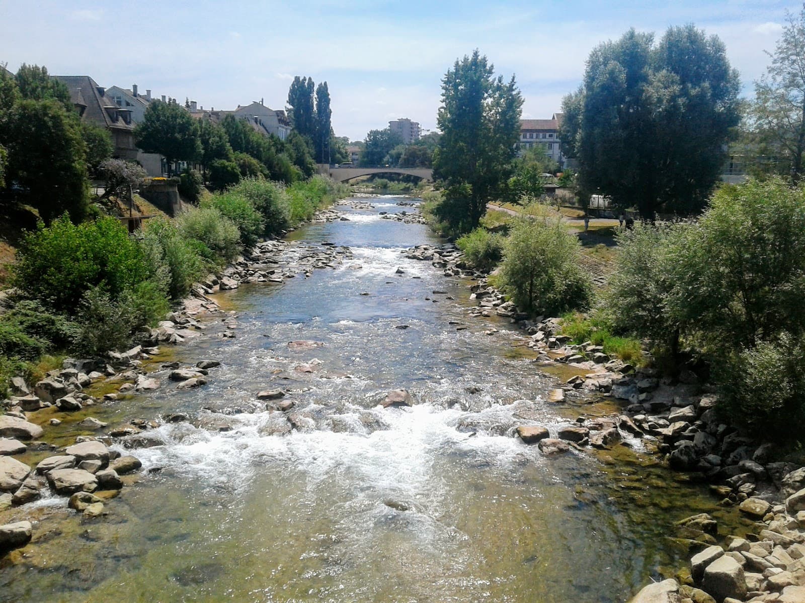 Birsköpfli - Image 1