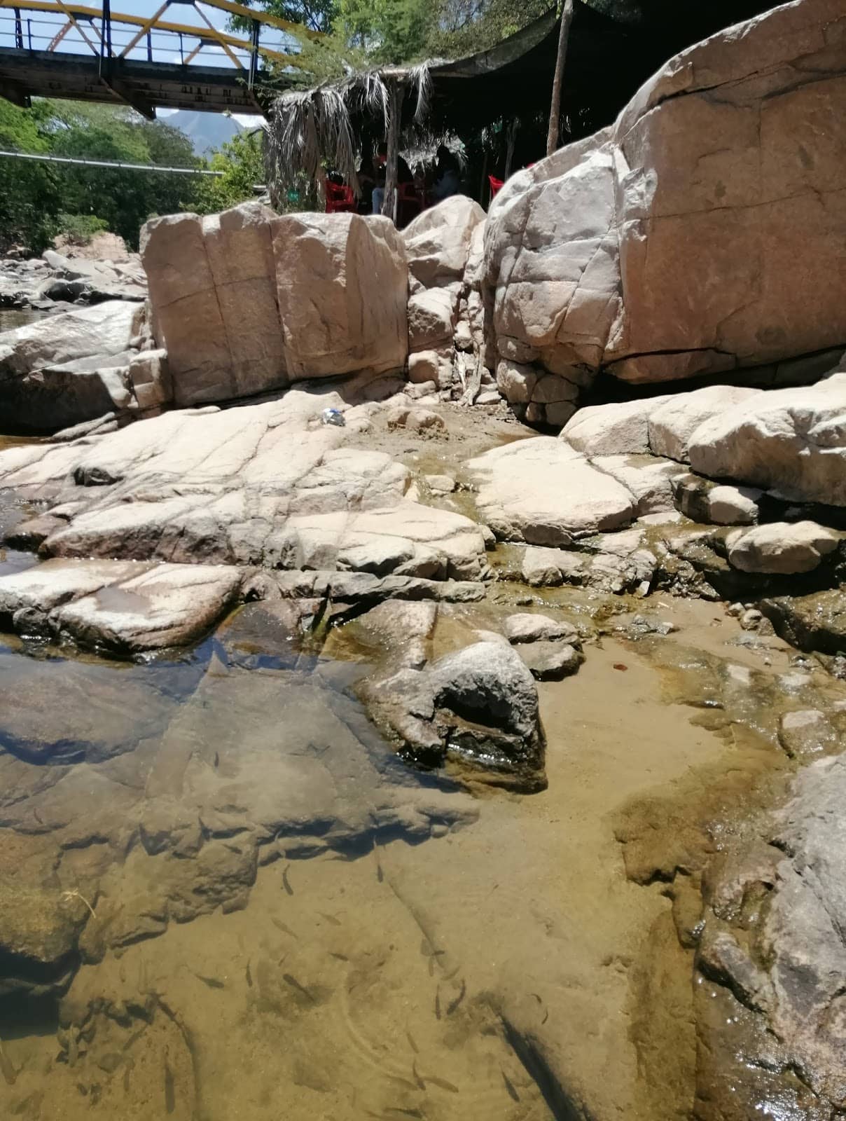 Vallenato Inspiration