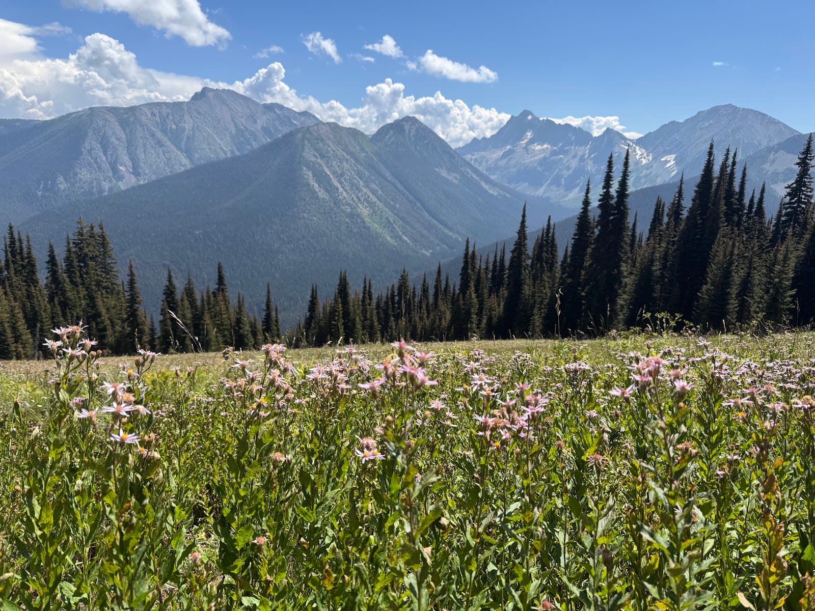 E.C. Manning Provincial Park - Image 1