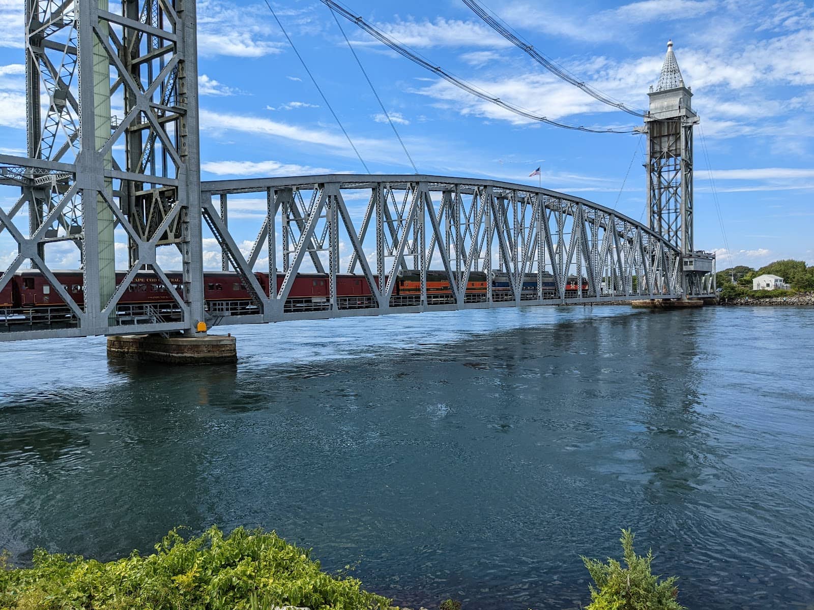 Wildlife Spotting Opportunities