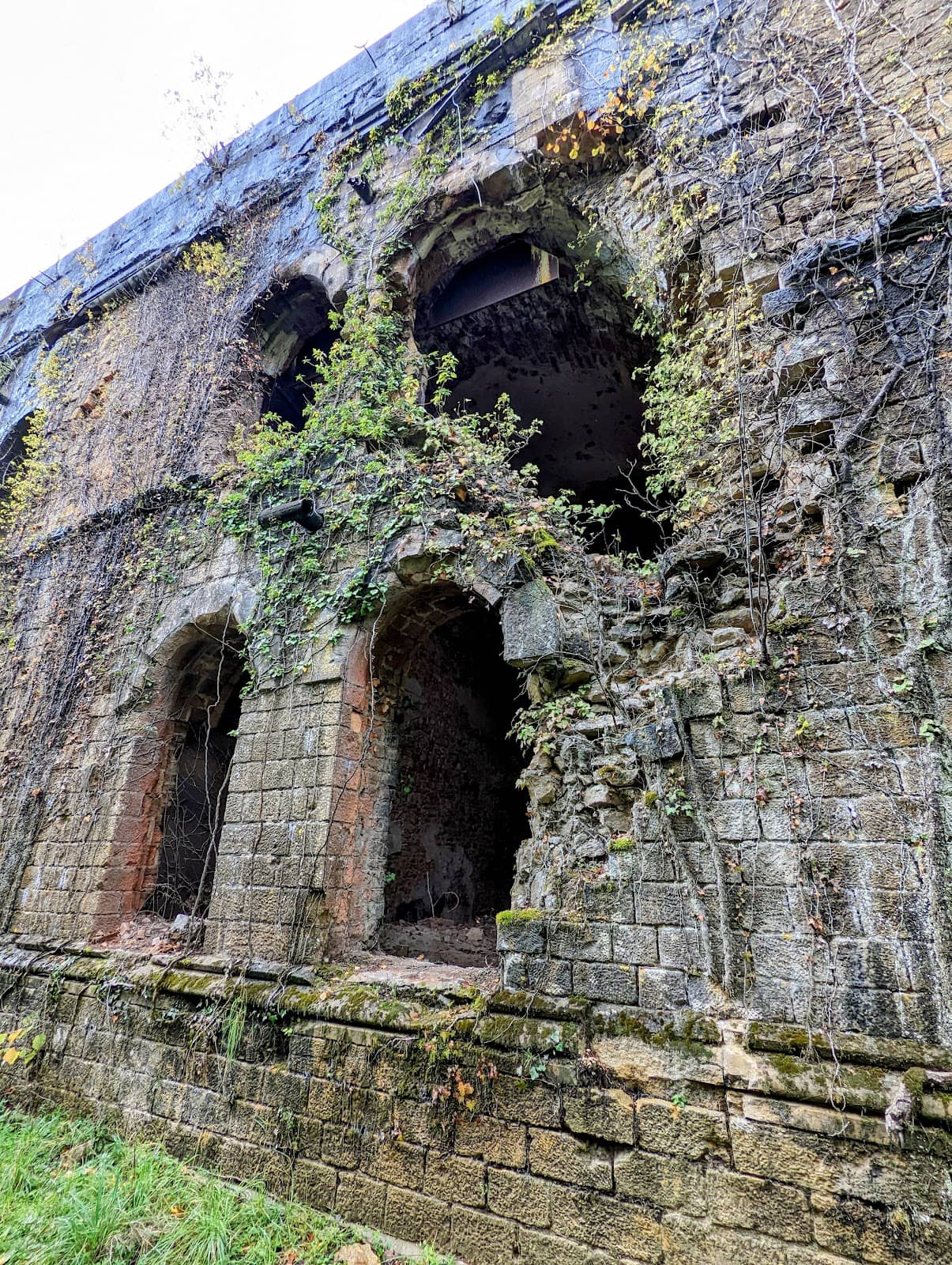 Vertical photo