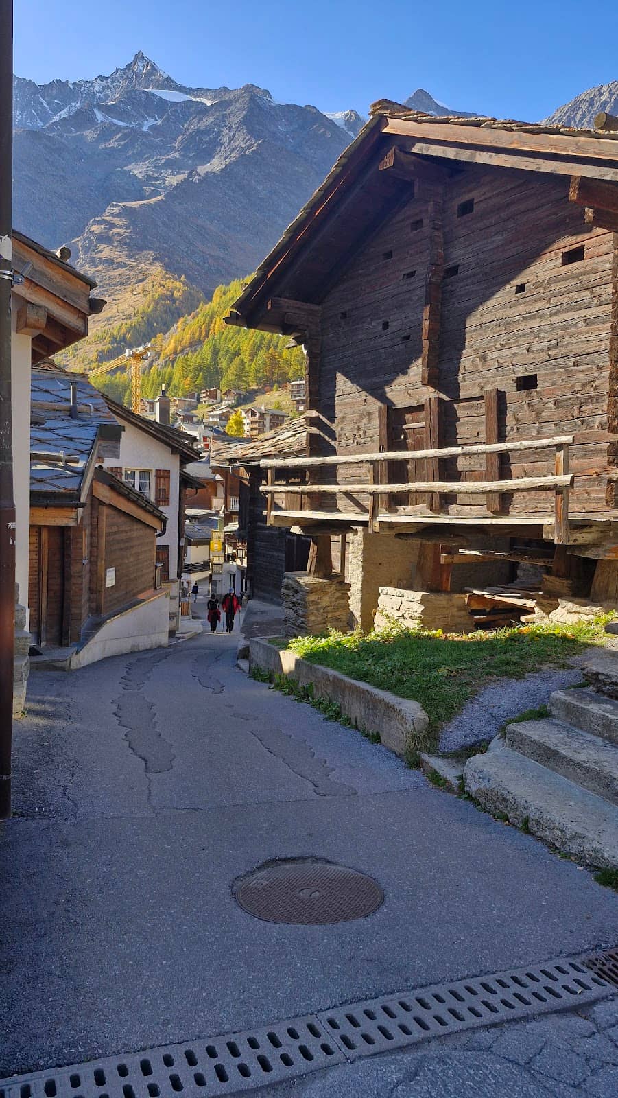 Vertical photo