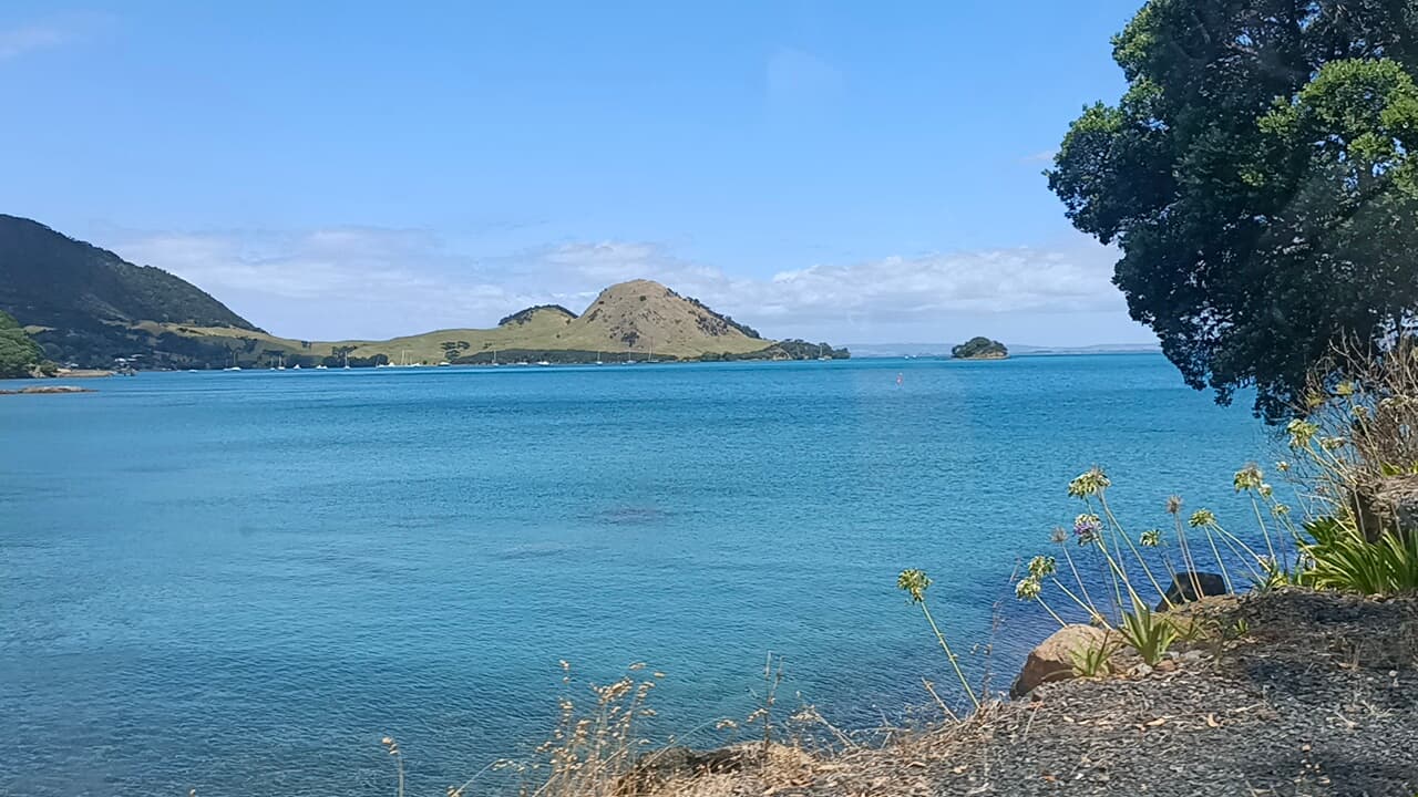 Parua Bay New Zealand - Image 1