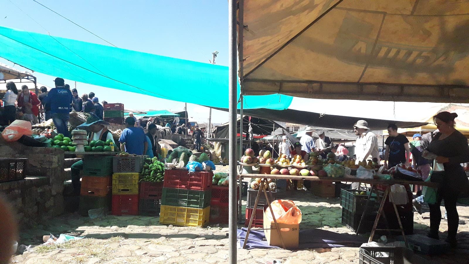 Saturday Farmers' Market Plaza de Mercado - Image 1