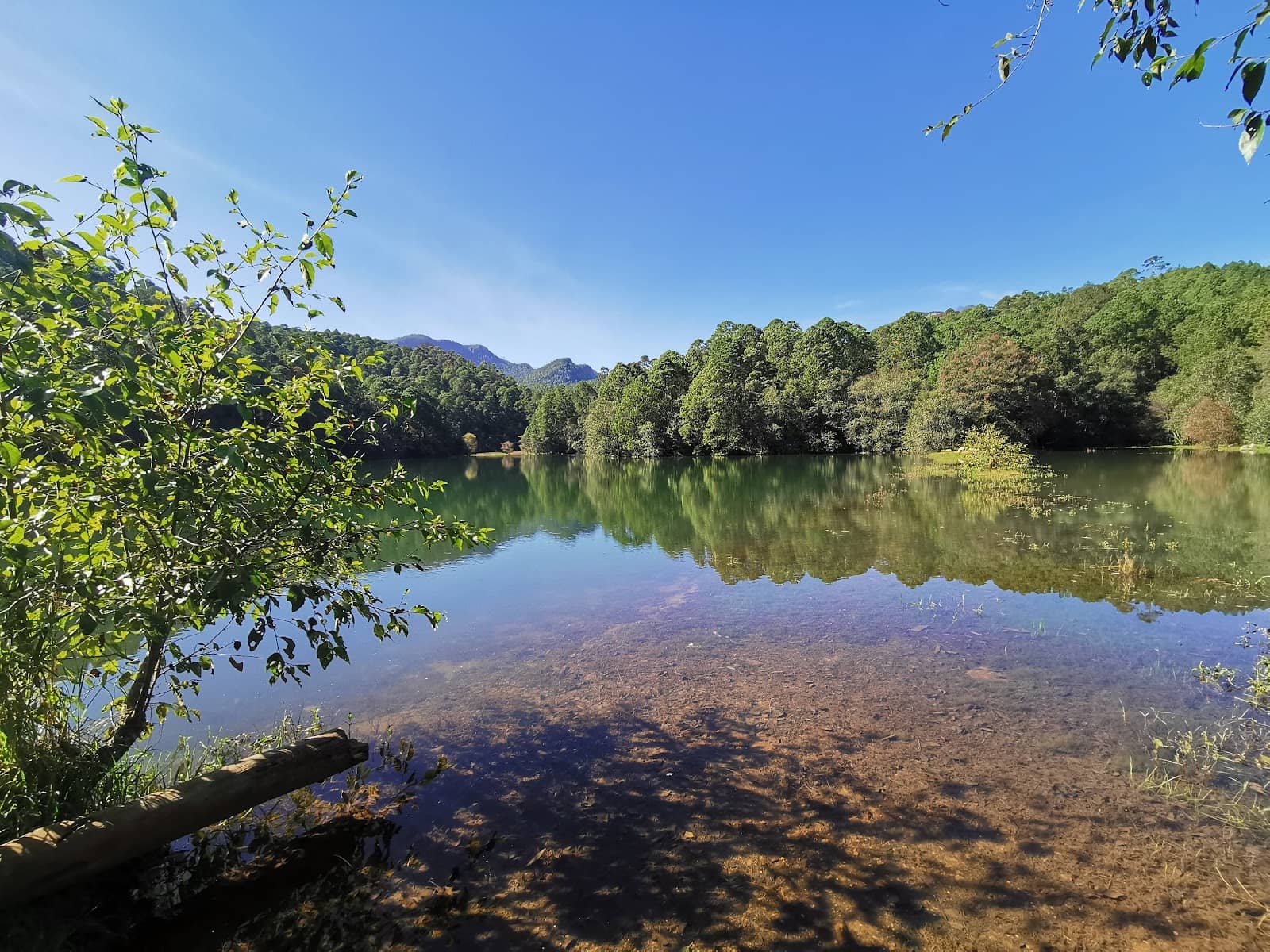 Family-Friendly Outdoor Fun