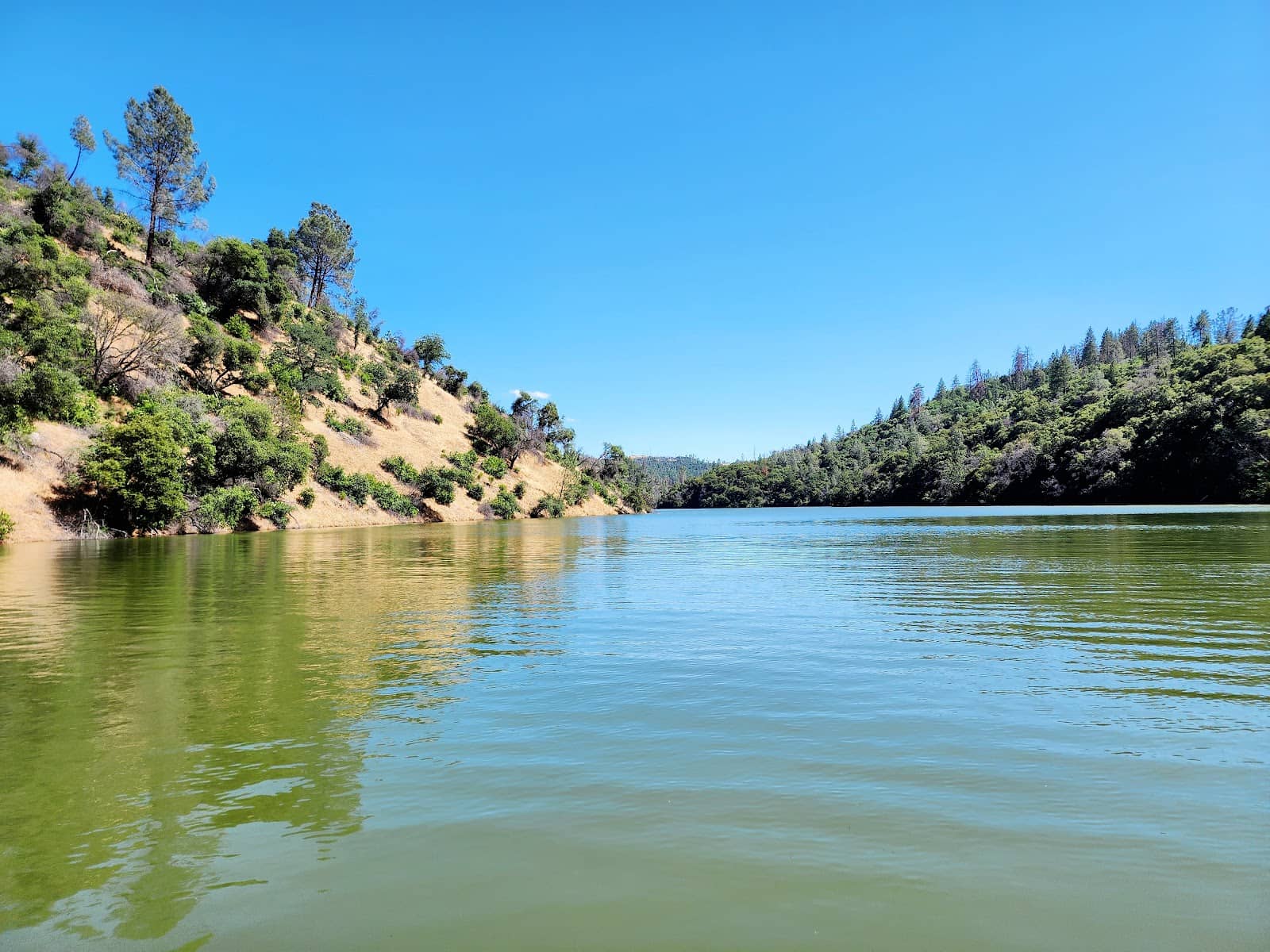 Bass Fishing Opportunities