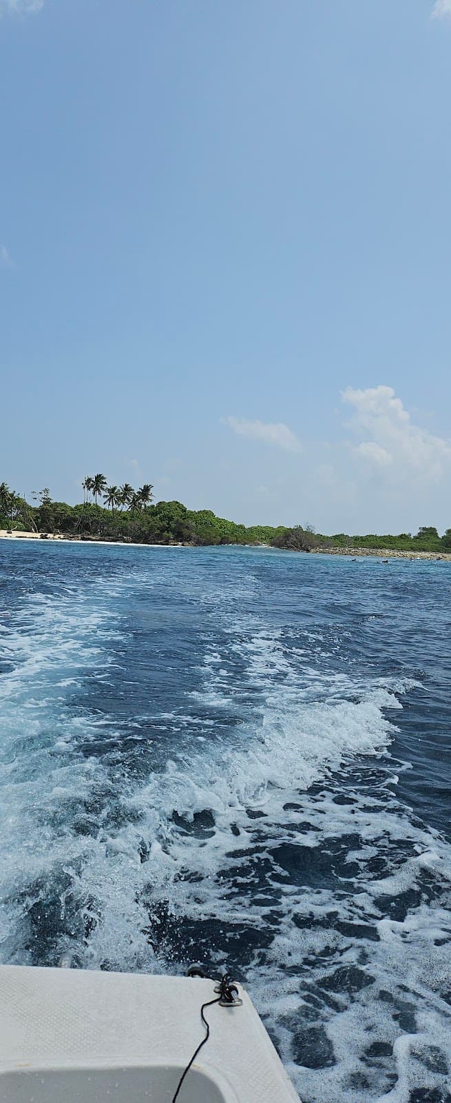 Honky's surf break - Image 1