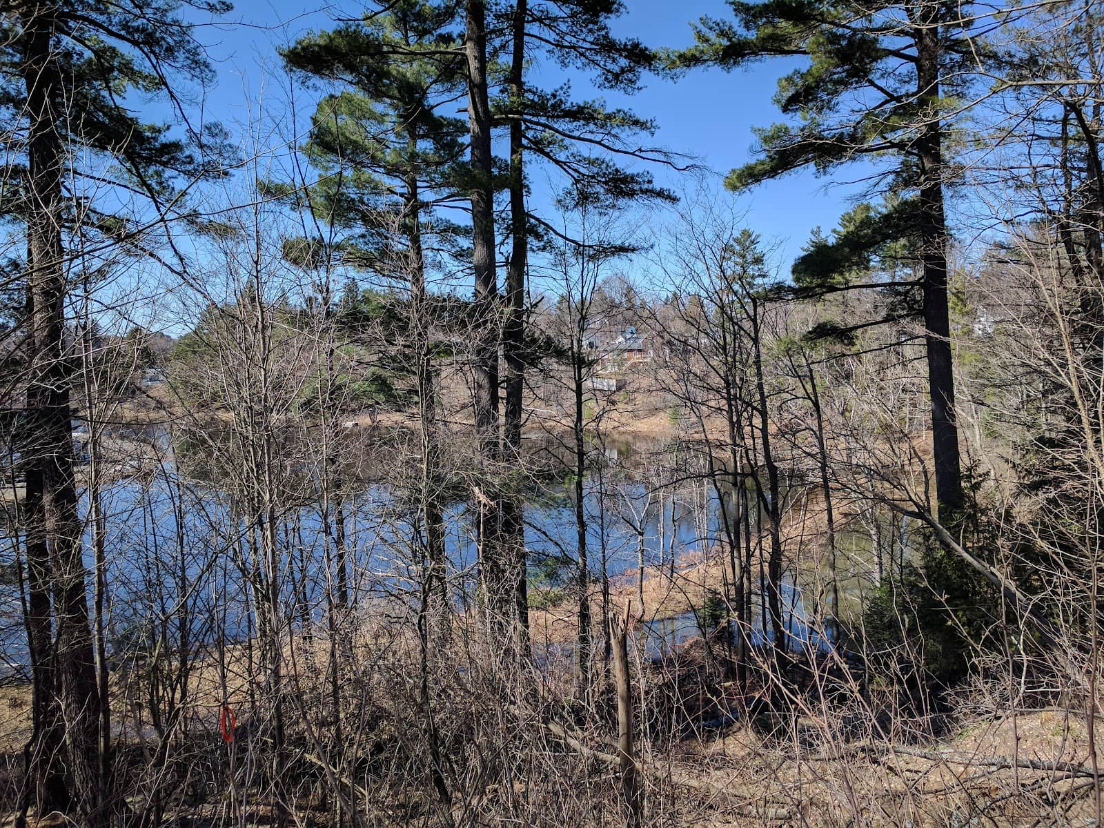 Muskoka River Overlook