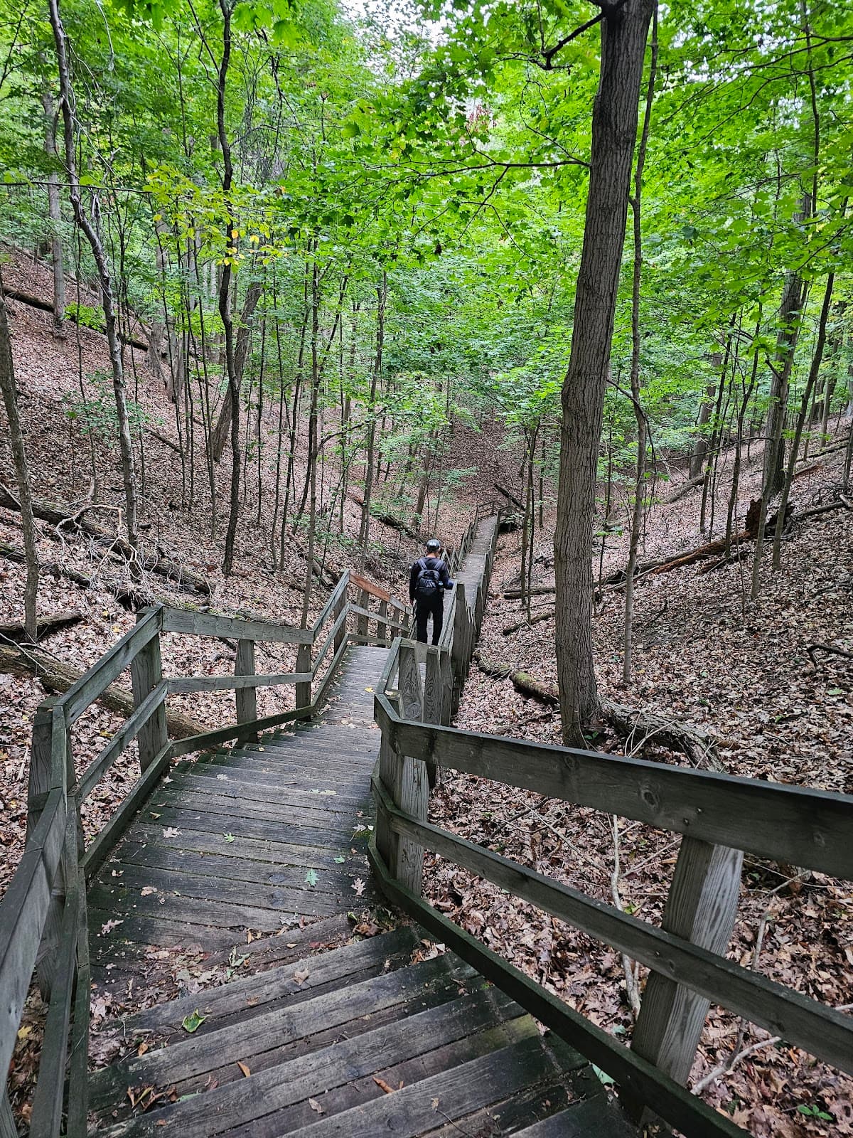 North Ottawa Dunes - Image 1