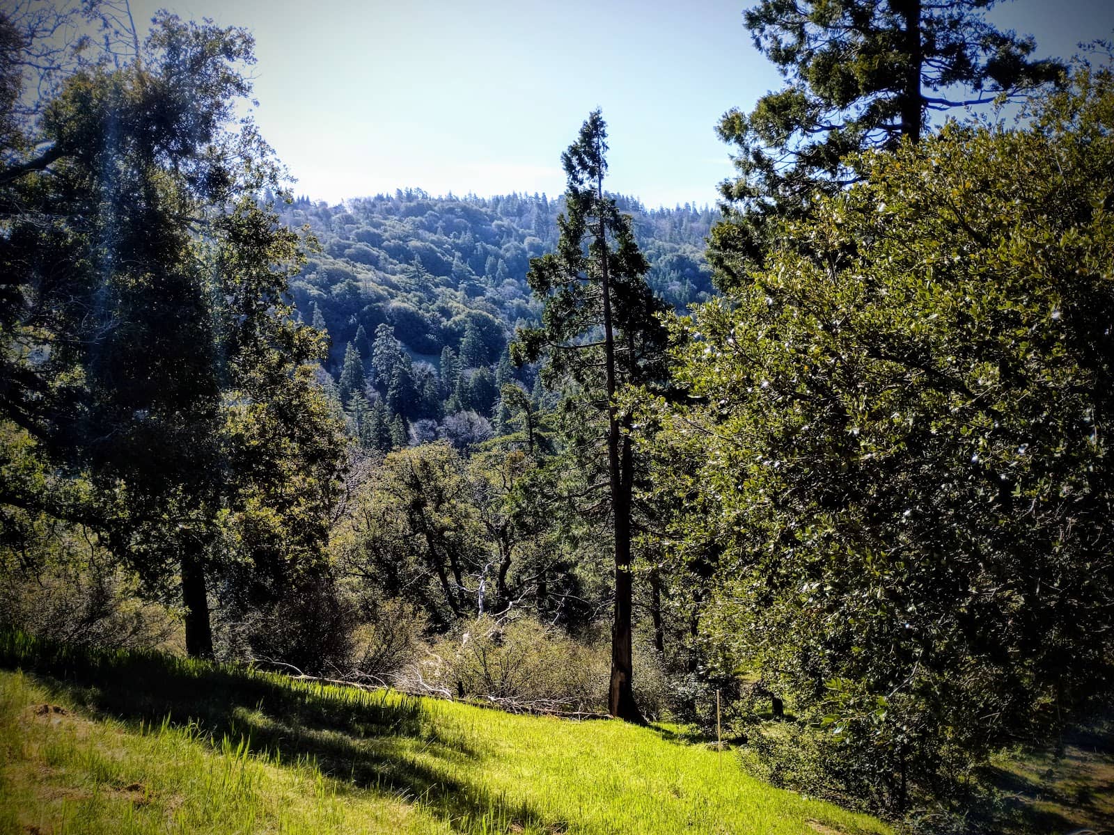 San Bernardino National Forest