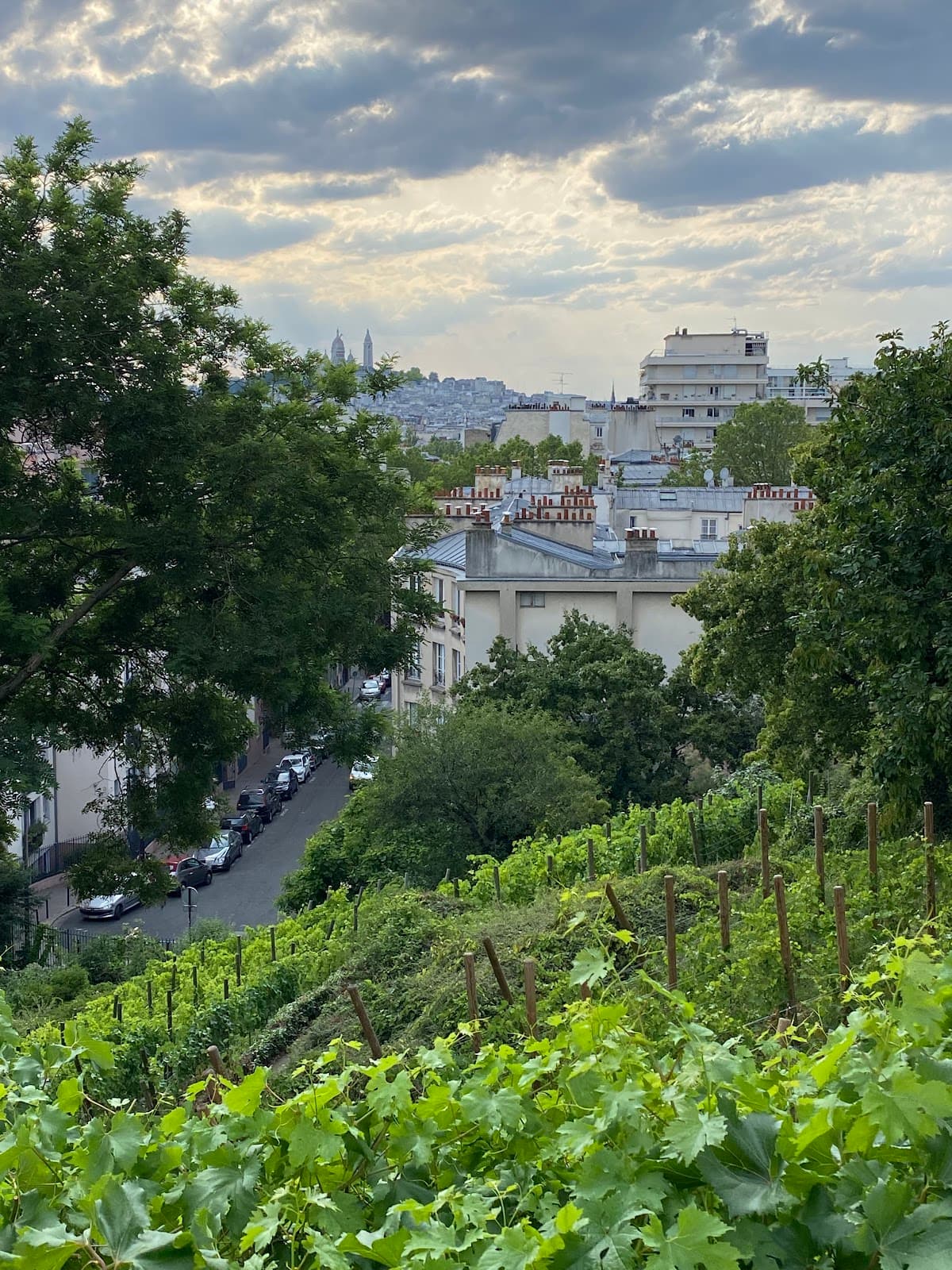 Parc de la Butte Bergeyre - Image 1