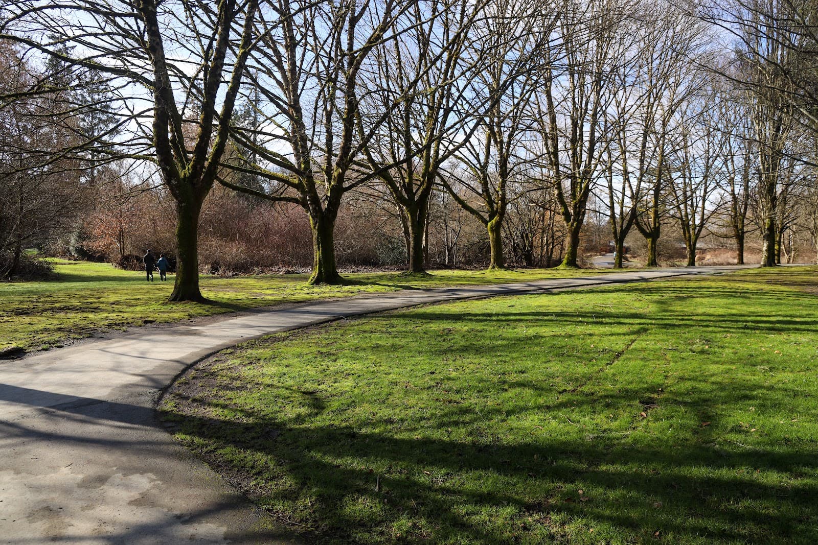 Portage Park - Image 1