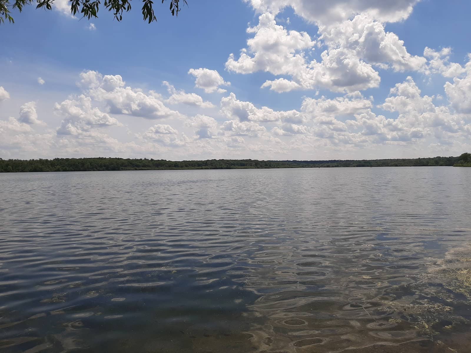Muskie Dam Jump