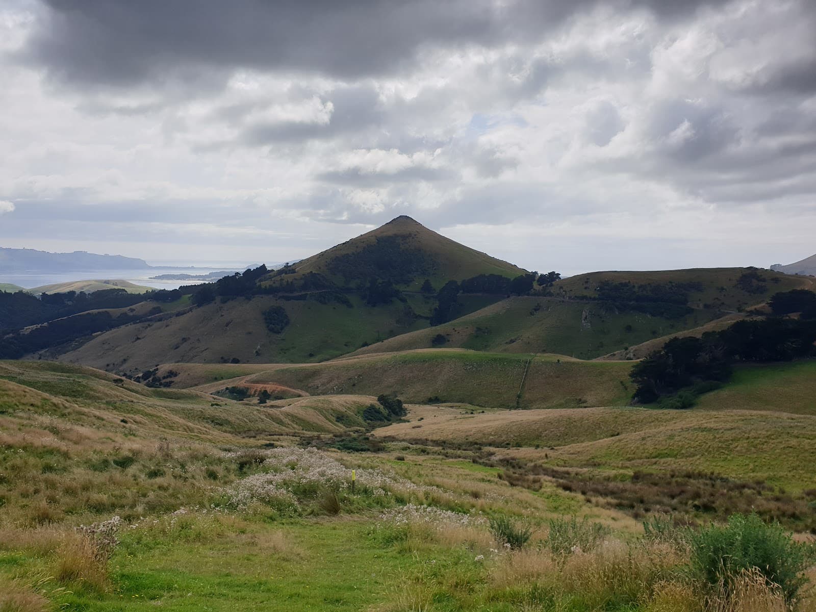 Harbour Cone Track Dunedin - Image 1