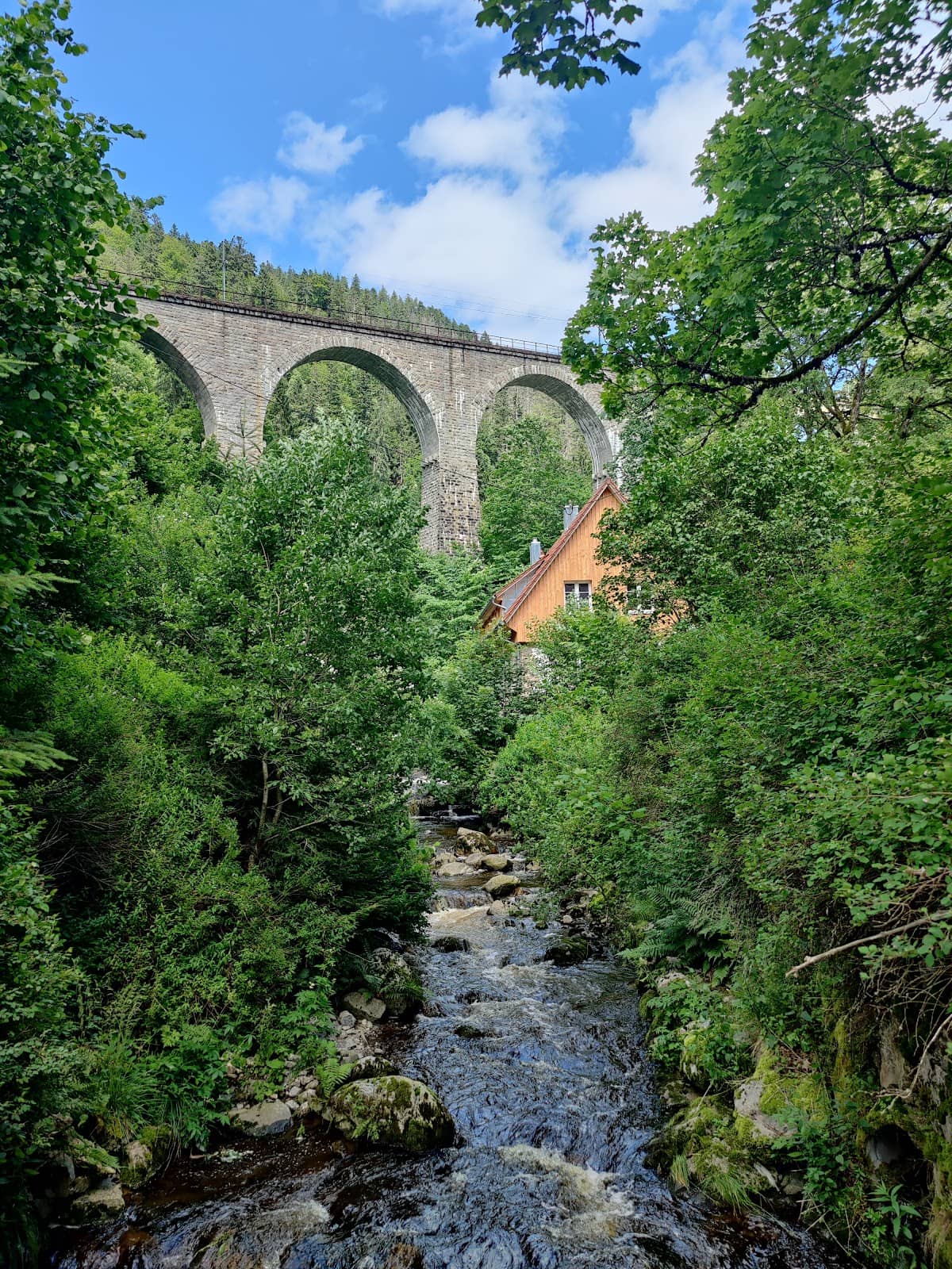 Vertical photo