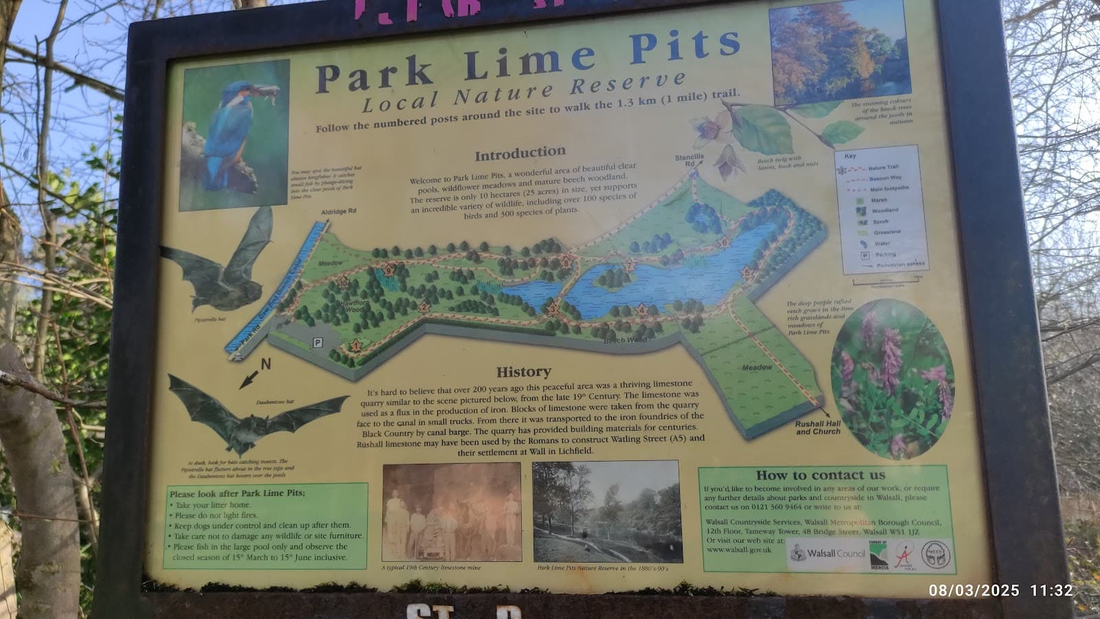 Park Lime Pits Nature Reserve - Image 1