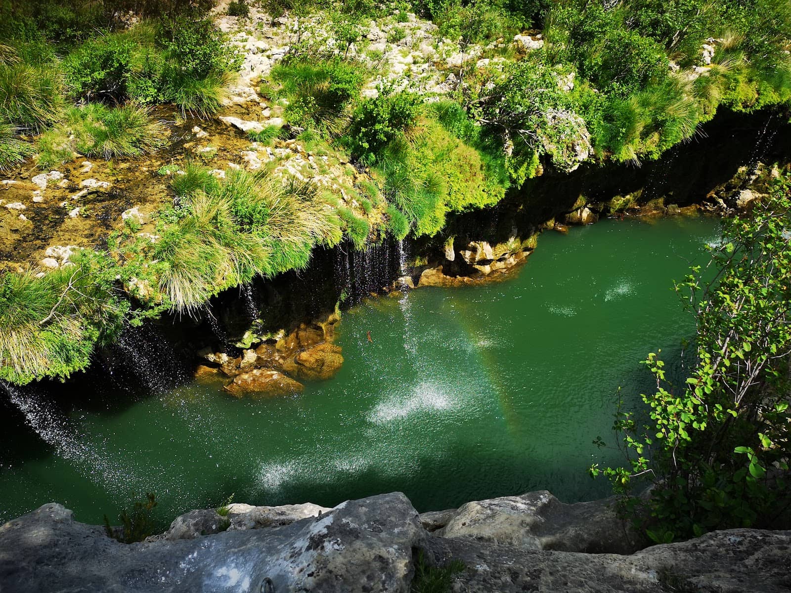 Swimming and Cliff Jumping