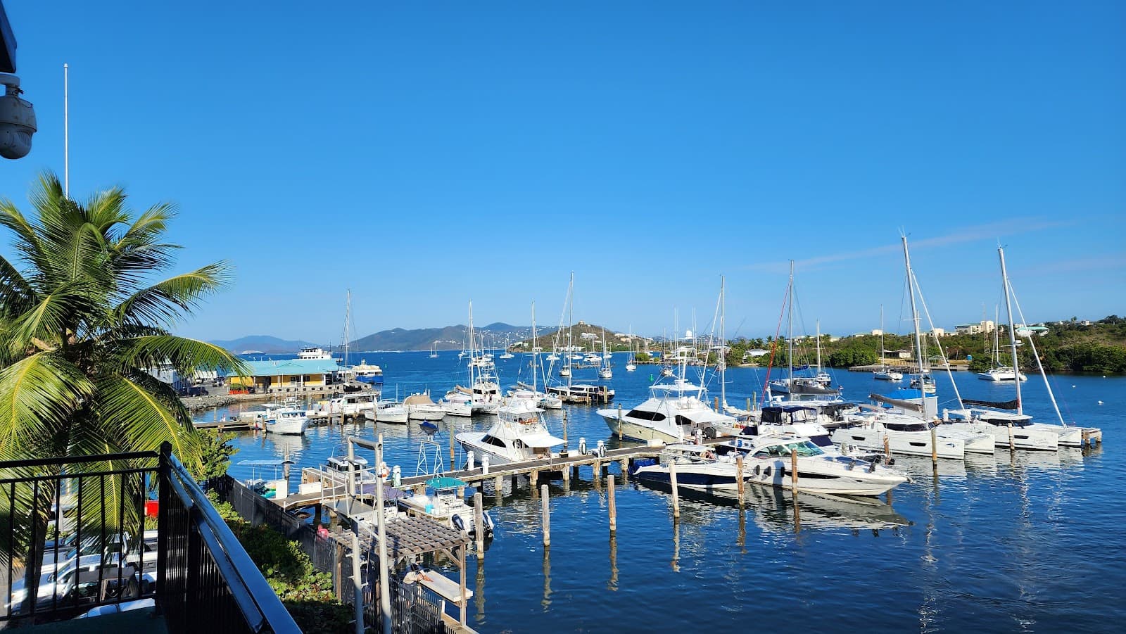 American Yacht Harbor - Image 1