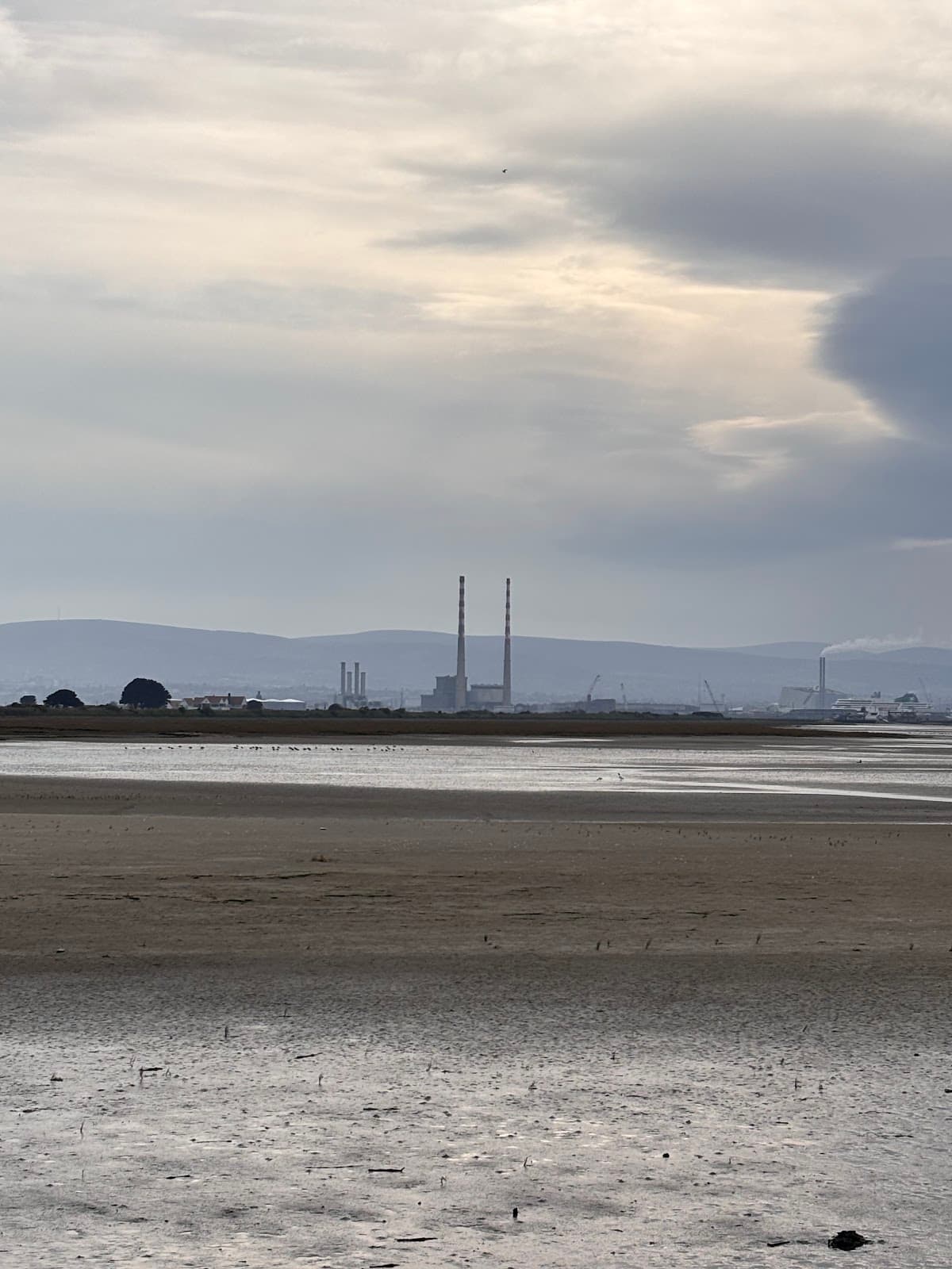 Bull Island Interpretive Centre Dublin - Image 1
