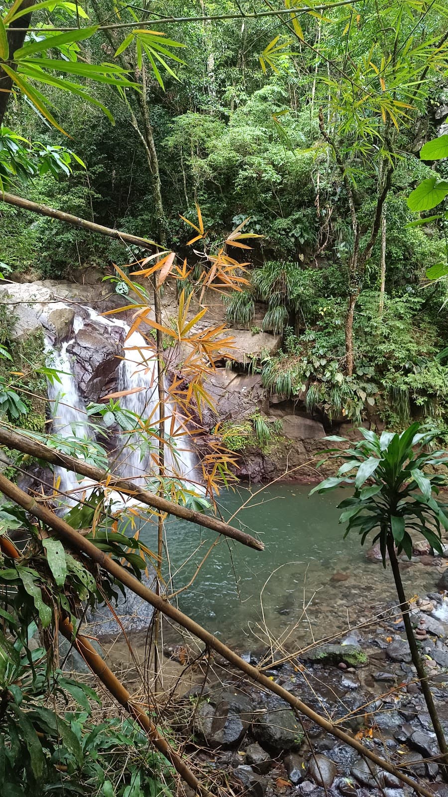 Didier Waterfalls - Image 1