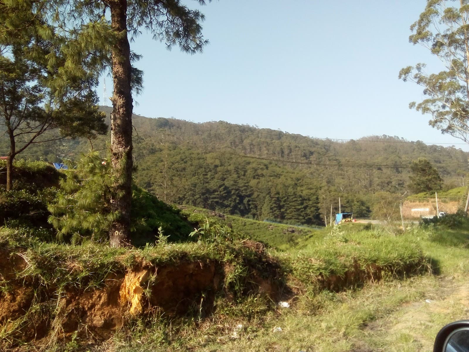 Pidurutalagala Forest Reserve - Image 1