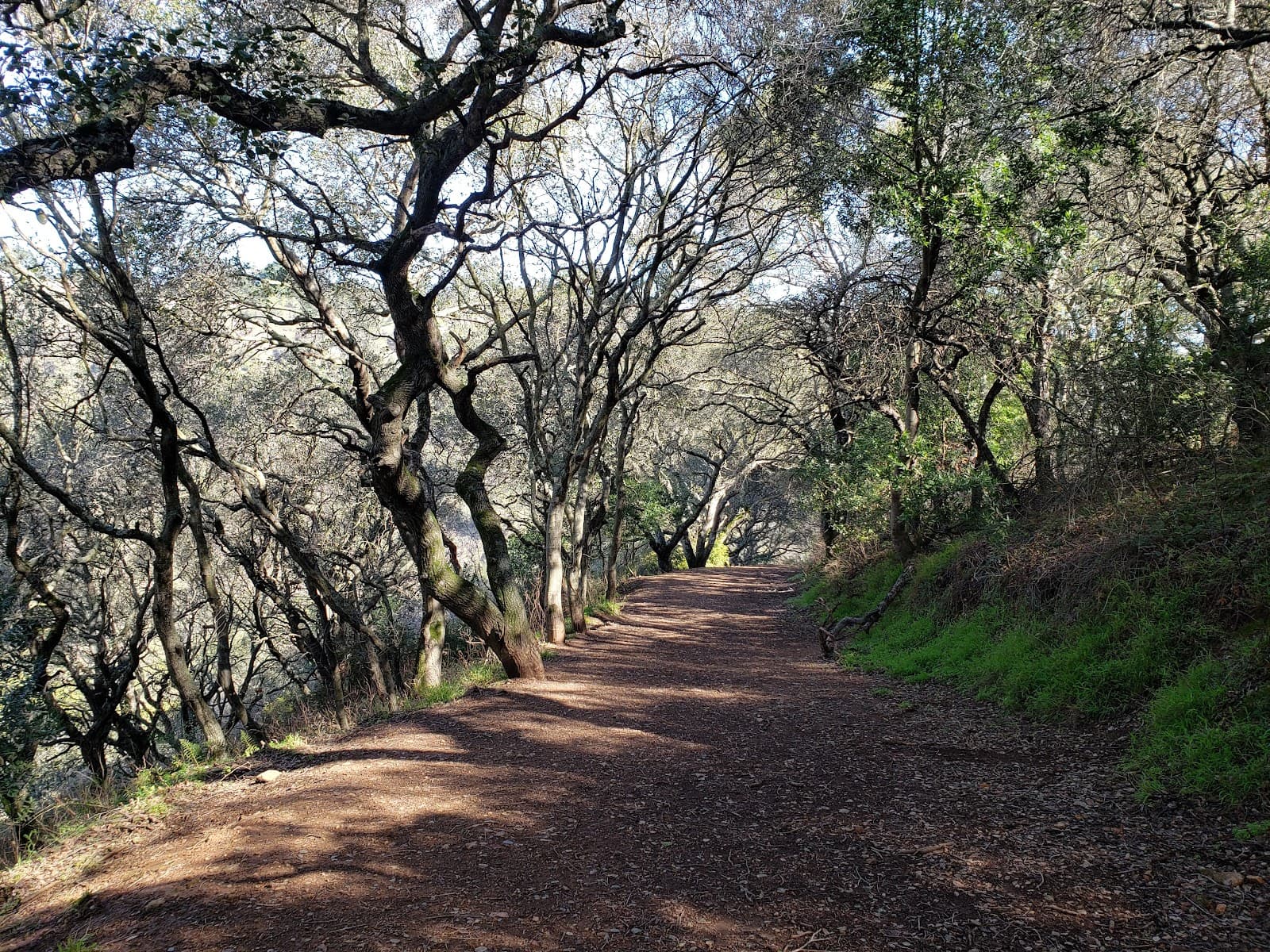 Leona Canyon Open Space Preserve Oakland - Image 1