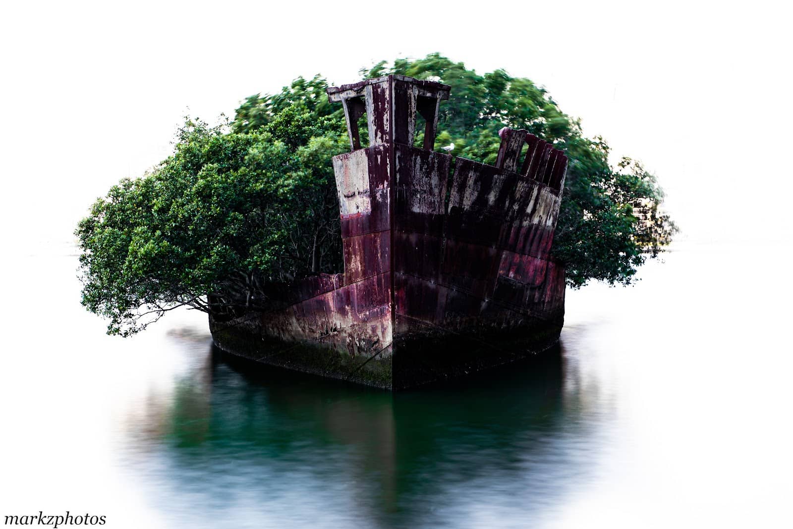 Homebush Bay Promenade Walk