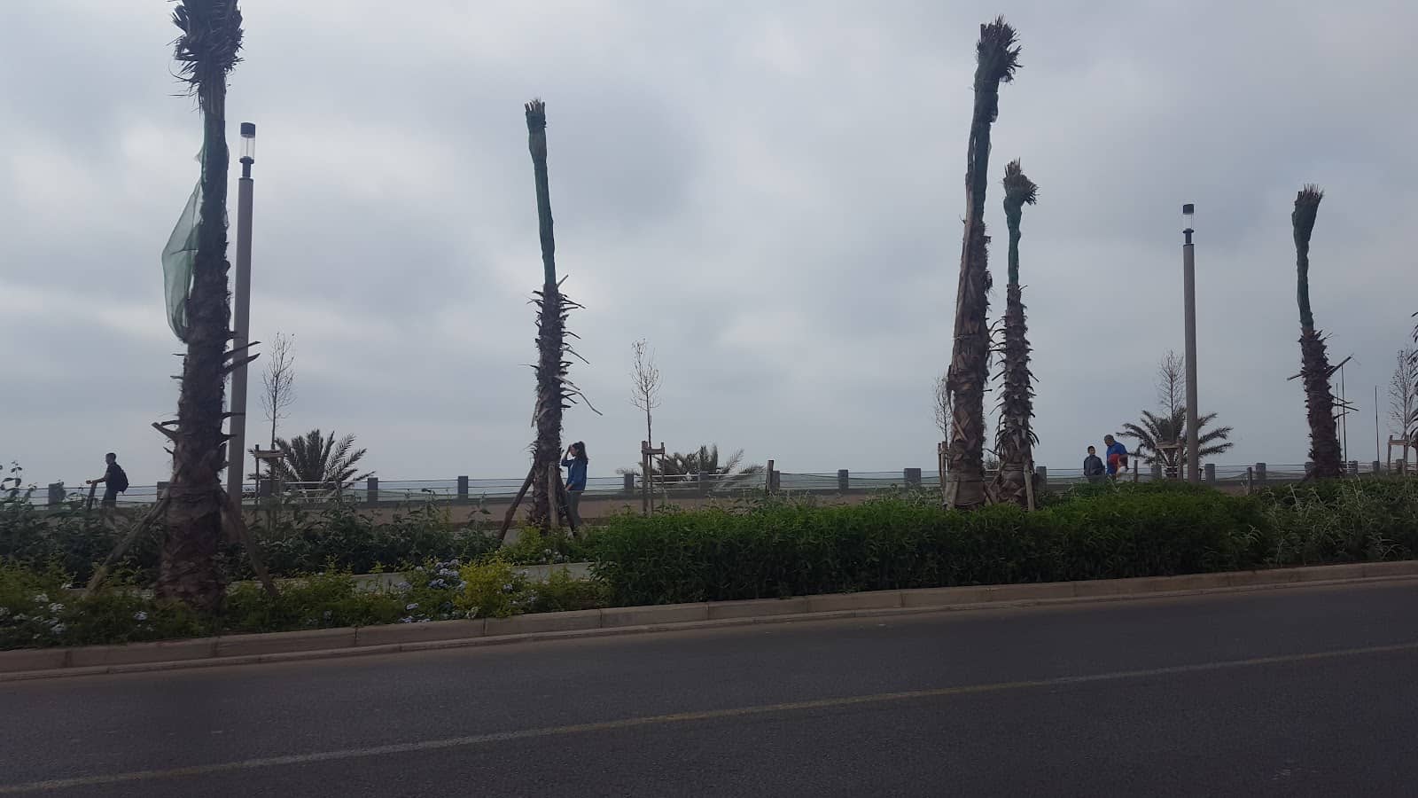 Vertical photo