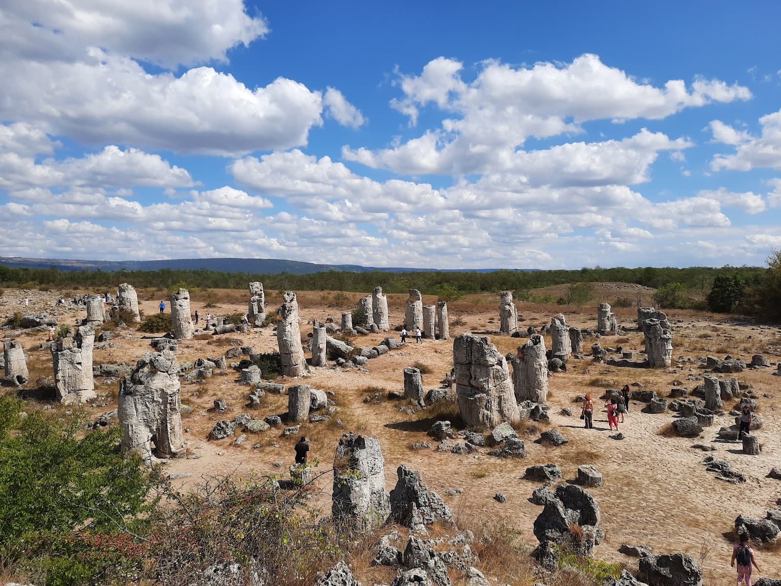 Pobiti Kamani Stone Forest Bulgaria - Image 1