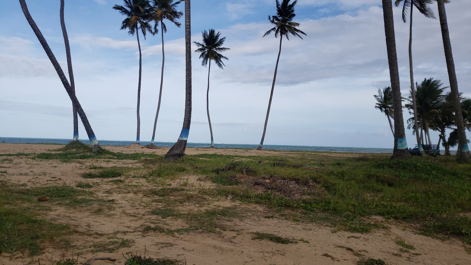Playa Lucía - Image 1