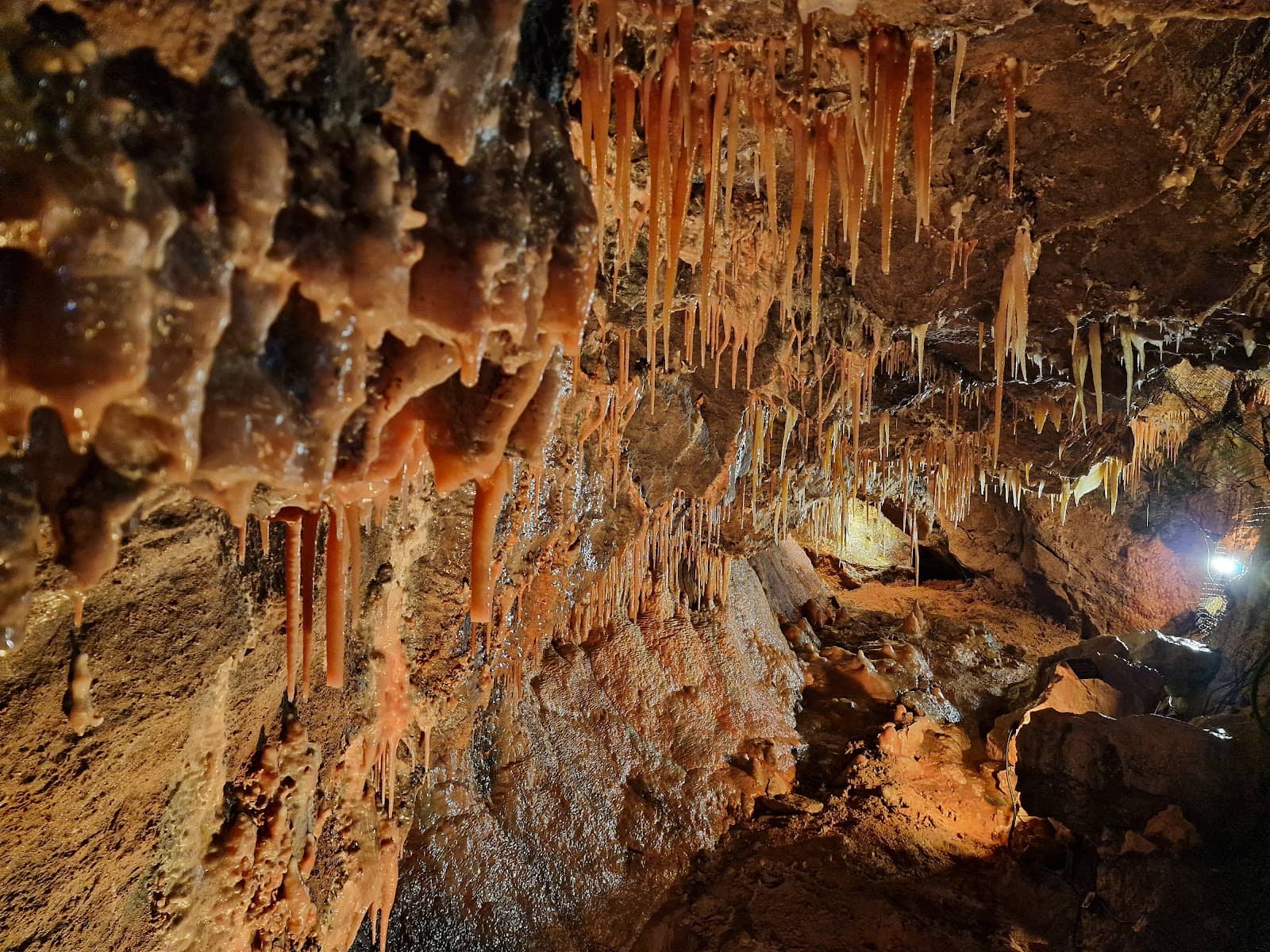 The Cavern's Unique Names