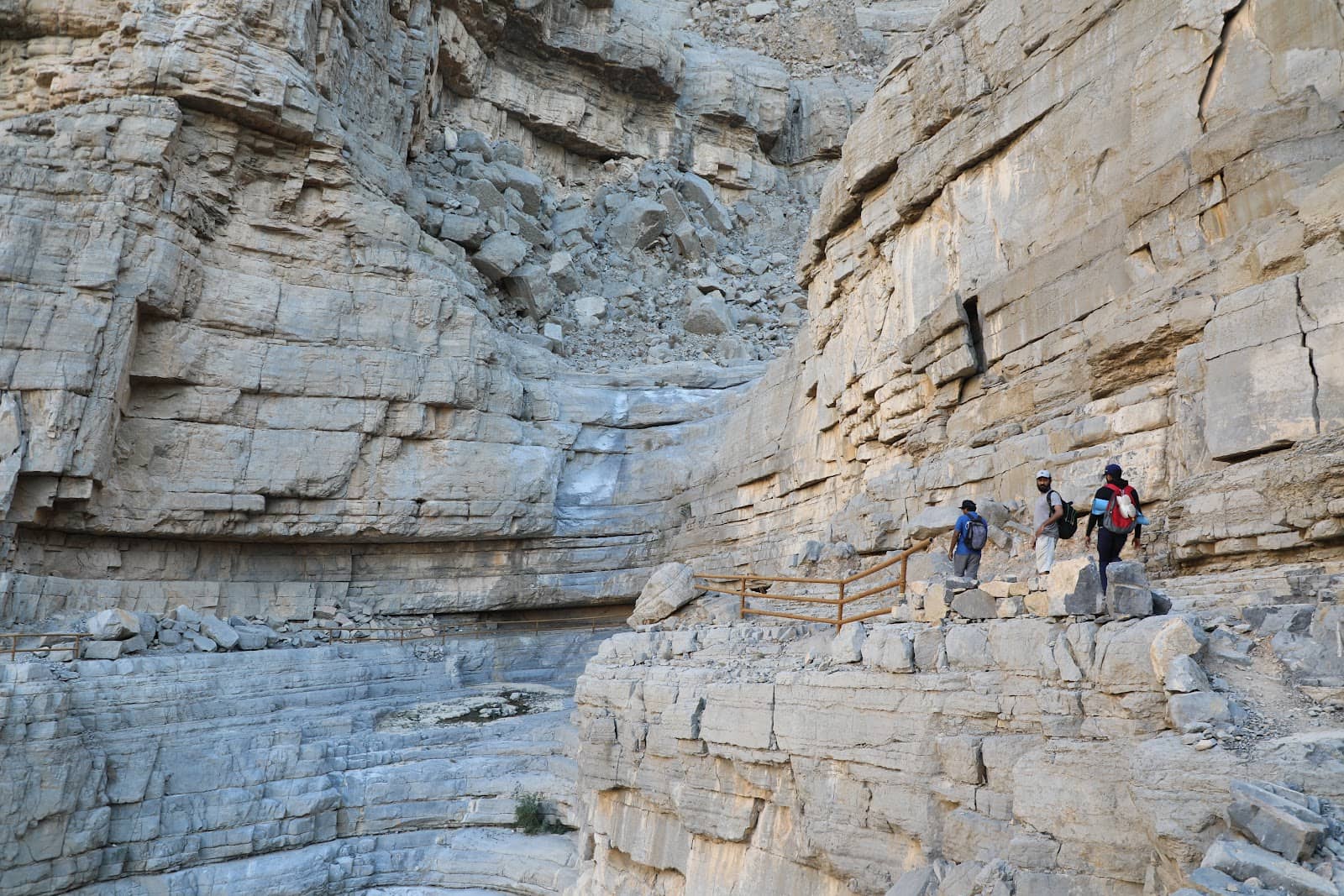 Starry Night Camping