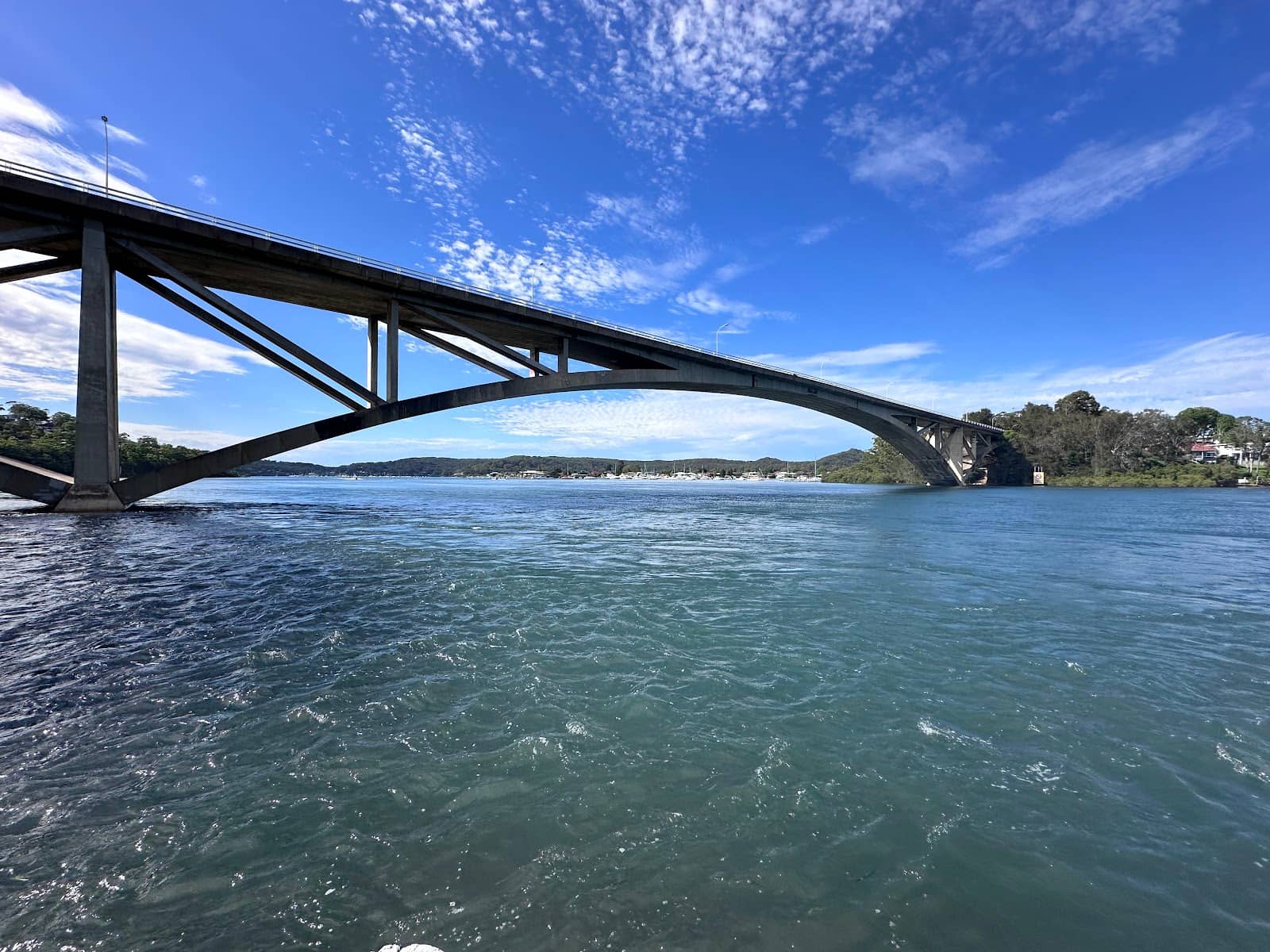 Marine Life Spectacle