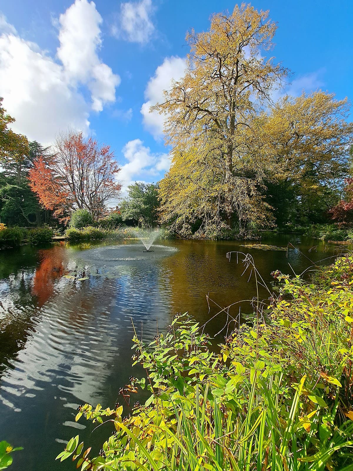 Streatham Campus Arboretum University of Exeter - Image 1
