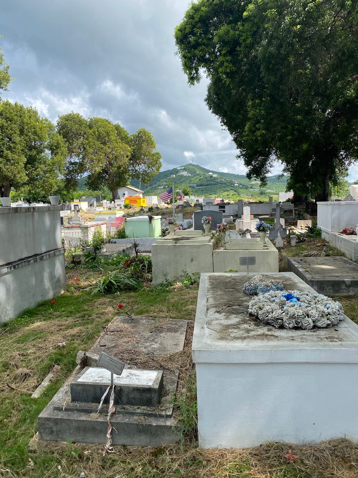 Frederiksted Historic Cemetery - Image 1